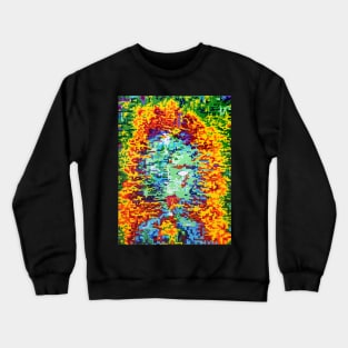 Depressive Doppler Deluge Crewneck Sweatshirt